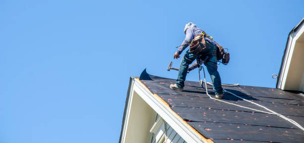 Best Storm Damage Roof Repair  in Punta Gorda, FL
